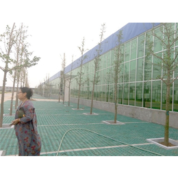 玻璃温室-青州瀚洋农业(图)-玻璃温室设计