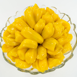 天津菠萝蜜新鲜热带水果大量供应