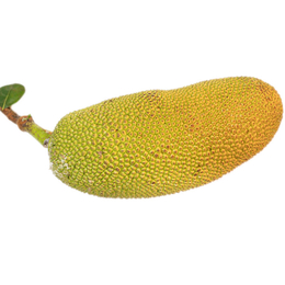 重庆水果菠萝蜜新鲜木菠萝35-38斤每个缩略图