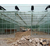 蔬菜温室大棚-汉威温室(在线咨询)-天水蔬菜温室缩略图1