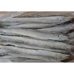 带鱼进口清关流程一览 如何节省进口带鱼成本