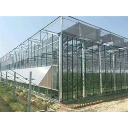 智能温室-青州瀚洋农业-智能温室大棚光照控制