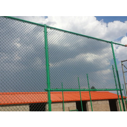 安平县球场围栏网-球场围栏网-航拓丝网