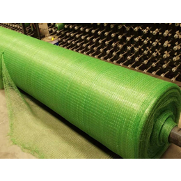 绿色盖土网-龙胜盖土网-巨东化纤绳网规格齐全