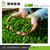 绿茶提取物生产厂家-绿茶提取物-西安博林缩略图1