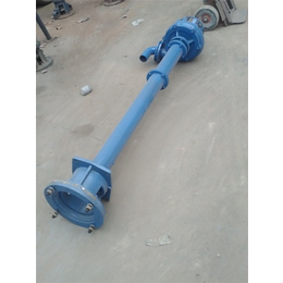 图木舒克150NWL立式淤泥杆泵-东蓝泵业