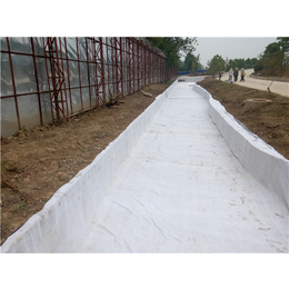 复膜膨润土防水毯-唐能-复膜膨润土防水毯厂家