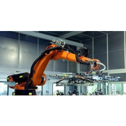 搬运机器人集成-施格自动化(在线咨询)-搬运机器人
