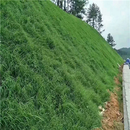 环保绿化护坡植草毯(图)-高速公路护坡植草毯-植草毯