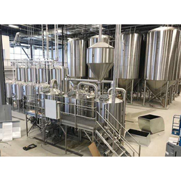 湖北啤酒发酵设备生产厂家