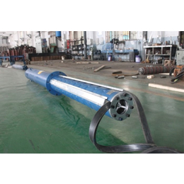 300方流量热水潜水泵-功率大扬程高-冬季免提泵