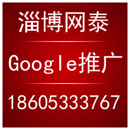 青州谷歌优化哪家好-青州谷歌优化-淄博网泰科技(查看)