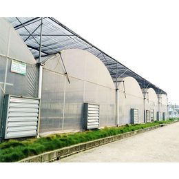 合肥温室大棚-合肥小农人大棚厂-玻璃温室大棚公司