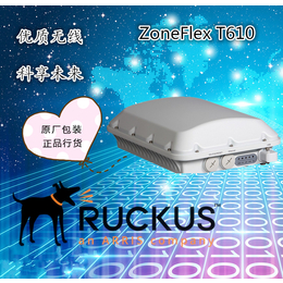 优科Ruckus室外无线AP ZoneFlex T610系列缩略图