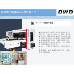 DWD德沃德数控六面钻开料机板式家具厂家* 湖北武汉