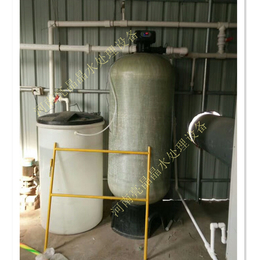 益阳厂家*3吨锅炉软化水设备 全自动软水器循环水除垢装置