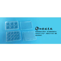 上海百千J00240一次性无菌塑料24孔细胞培养板圆孔平底缩略图