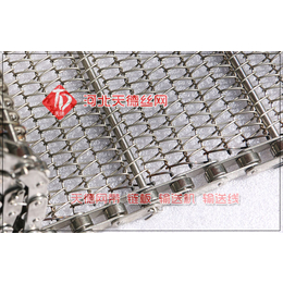 朝阳环保设备不锈钢网链厂家-不锈钢网链-规格可选择