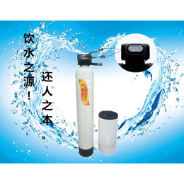 开封全自动软水器  每小时3吨工业家用软水机 软化水除垢