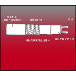 电伴热带厂-电伴热带-天津亚泰龙热控科技(查看)