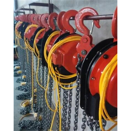 电动环链葫芦生产厂-欧力特起重-安徽电动环链葫芦