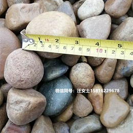  鹅卵石厂家 天然鹅卵石原产地 广州鹅卵石