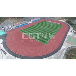 CGT绿城(在线咨询)-人工草-足球场人工草