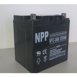 耐普蓄电池12V24AH NPP蓄电池NP24-12