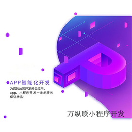 小程序开发哪个公司做得好小程序开发报价缩略图