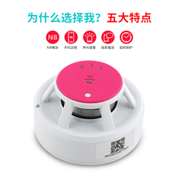 广州NB永康YK408智能烟感探测器消息提醒