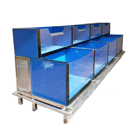广州超市贝壳缸大闸蟹暂养缸商用鱼缸冰鲜台贝壳池