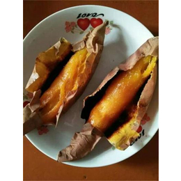 石景山红薯-禾田薯业种类齐全-哪里的红薯甜