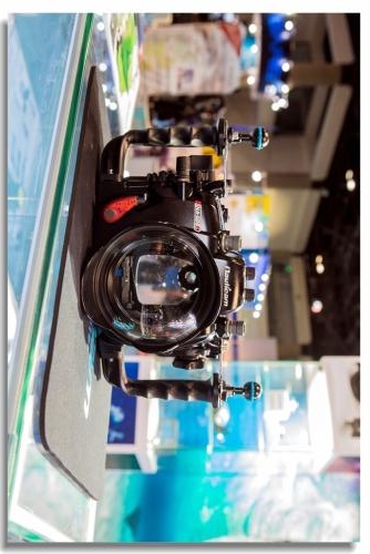 2020上海国际水上运动及潜水装备展览会