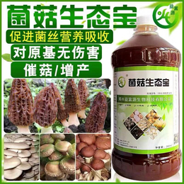 供应红托竹荪增产营养液