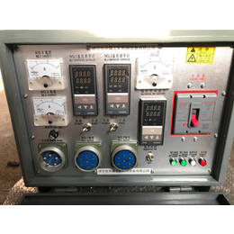 DPL硫化机电控箱温控箱