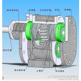 高新泵业生产销售齿轮泵 油漆泵 涂料泵 燃料油齿轮泵