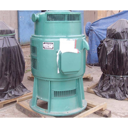 500ZLB-70轴流泵价格-泰安金石泵业有限公司