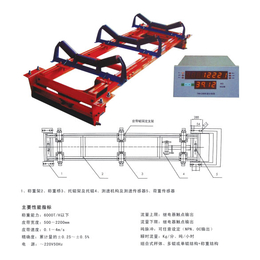 除尘配套皮带秤-荆州皮带秤-恒鸣吊挂式配料皮带秤