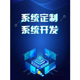 聚合支付+软件系统开发