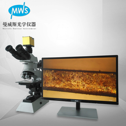 MWS-JXP5002金相显微镜 粉末芯片镀层研究级别显微镜