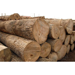 木材代理出口报关海运一站式服务公司