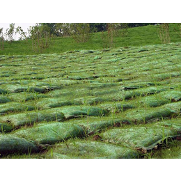 植生袋-宏祥股份-绿化植生袋