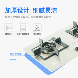 燃气灶公司-德国品孚(在线咨询)-黄石燃气灶