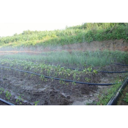 灌溉系统设计-黔东南灌溉设计-亿安鑫节水灌溉