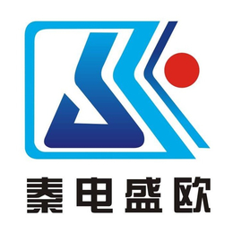 L300价格-SOCK-L300-盛欧测控(查看)