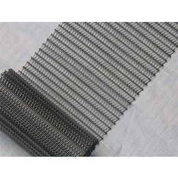 济南不锈钢网带-304不锈钢网带价格-链条式不锈钢网带