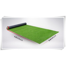 便宜的假草坪厂家*价塑料草坪地毯