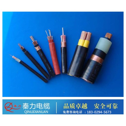 陕西电缆厂(图)-铠装控制电缆-榆林控制电缆