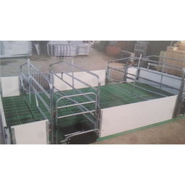 养猪双体欧式母猪产床现代化猪场养护站设备缩略图