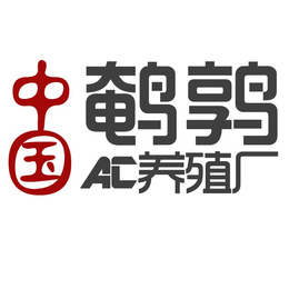 山东省青岛市鹌鹑苗多少钱一只